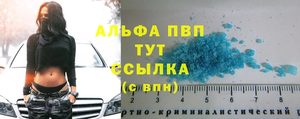 стафф Абинск