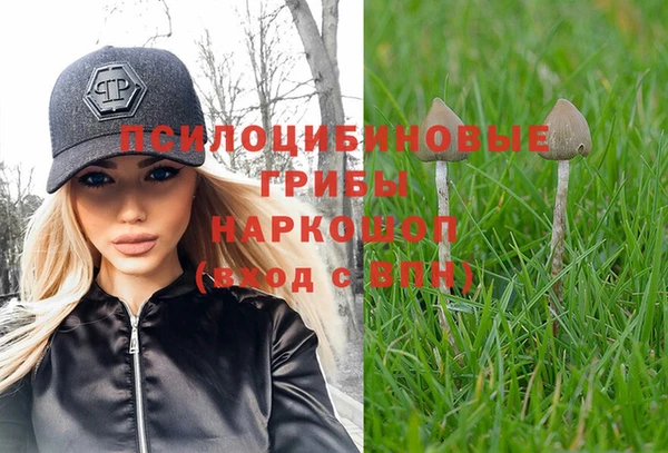 каннабис Алзамай