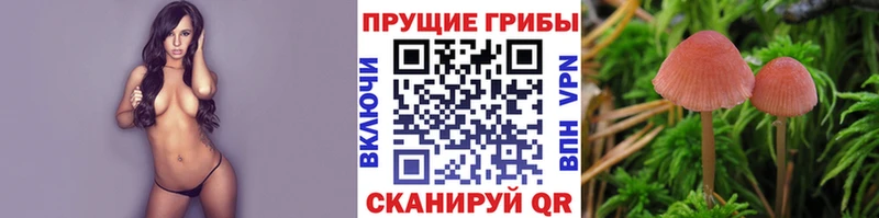 Галлюциногенные грибы мухоморы Кадников