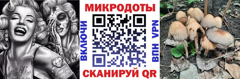 Галлюциногенные грибы прущие грибы  где купить наркоту  Кадников 