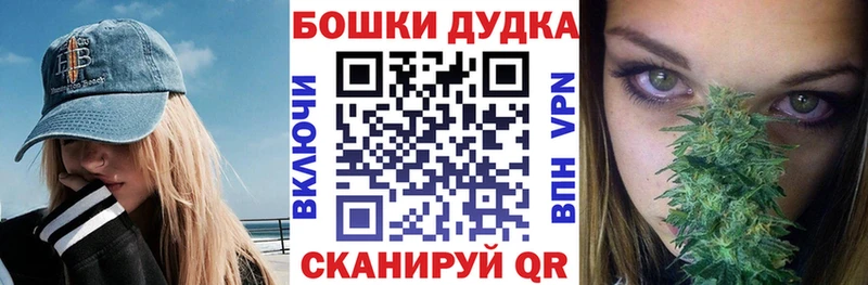 Конопля планчик  Кадников 